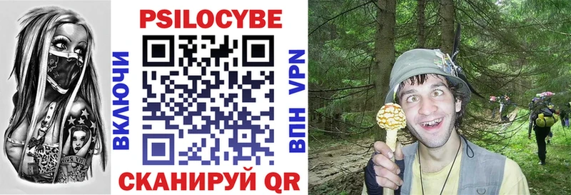 Купить где  Ачинск  Псилоцибиновые грибы GOLDEN TEACHER 